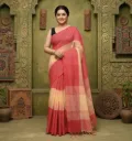Handloom Ikkat 3D Cotton Saree: Classic Colorblocks